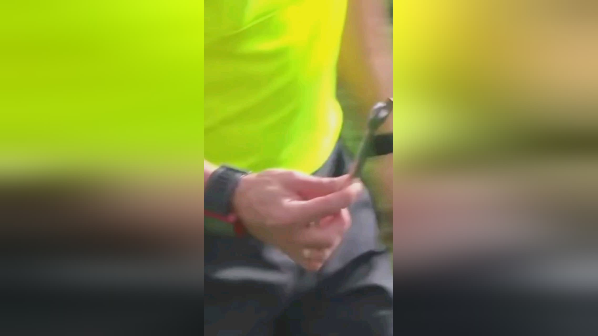 西西