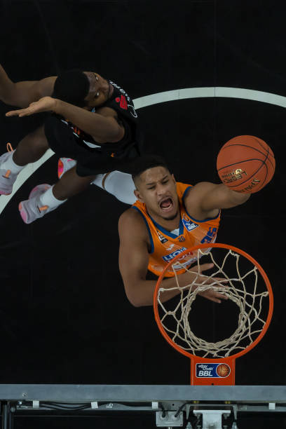 或潜在的新 或潜在的新