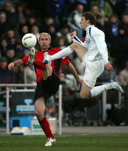 拉菲尼亚 拉菲尼亚